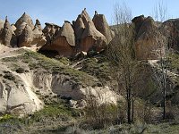 foto 101